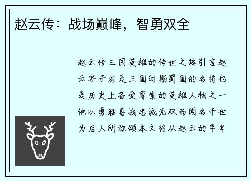 赵云传：战场巅峰，智勇双全